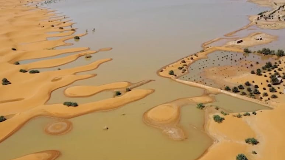 First time in 50 years, Sahara Desert experiences floods, extraordinary pictures come to light